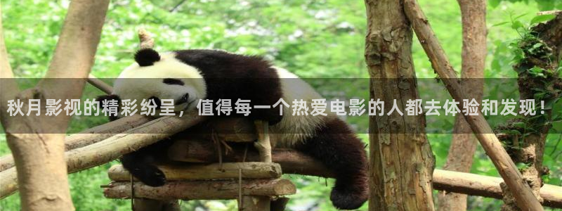 凹凸世界第二季免费观看西瓜