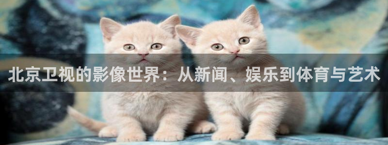 西瓜视频app