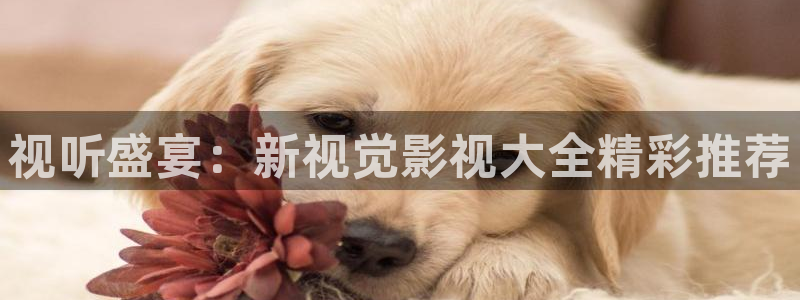 冰雨火免费观看全集西瓜