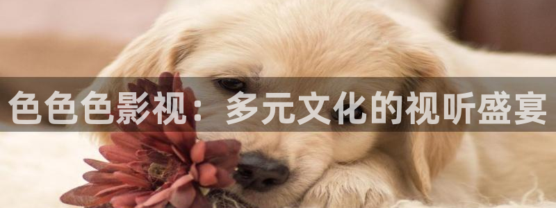 人世间在线观看西瓜