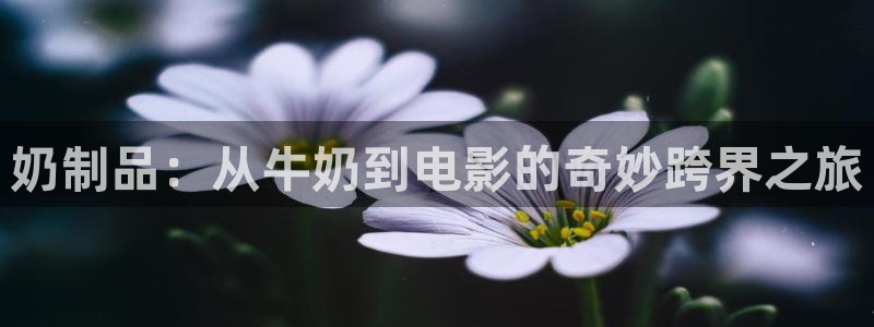 唐人街探案2免费观看完整版西瓜