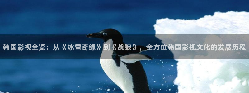 我要下载西瓜视频