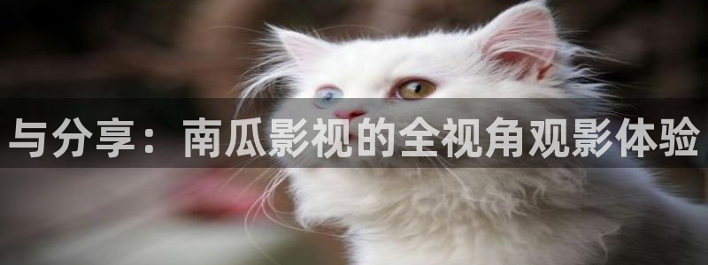 九七西瓜电影院
