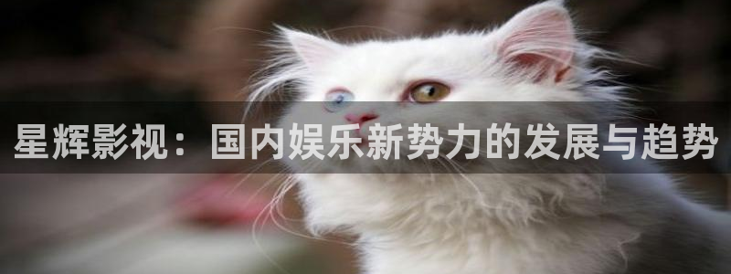 西瓜看球免费直播