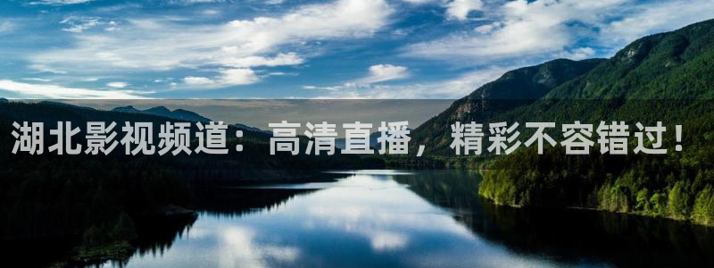 电视剧归路免费观看全集高清版西瓜影院