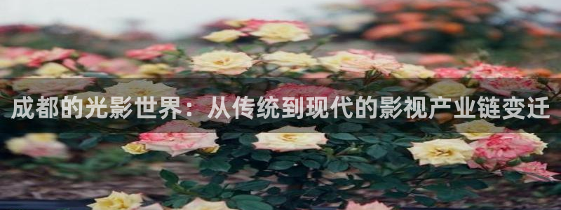 西瓜视步