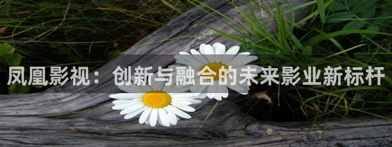 我曾记得那男孩免费观看西瓜影院