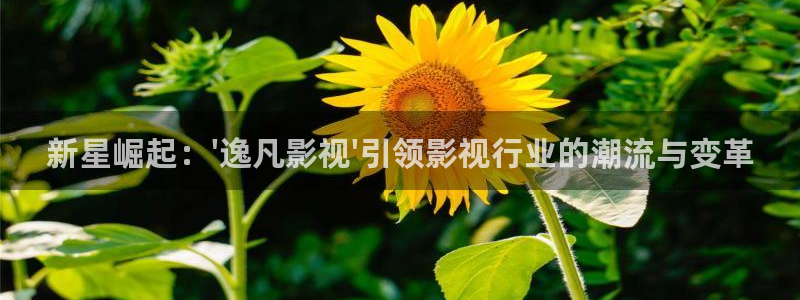 我是刑警免费观看西瓜